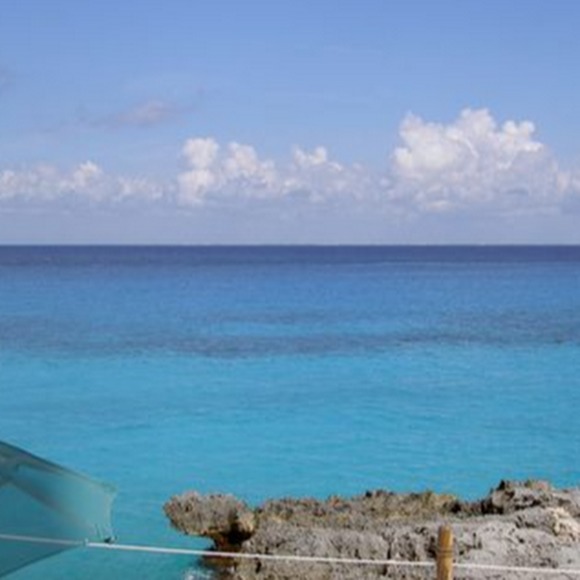 Meet your Posher, Wendy - Picture 2 of 2