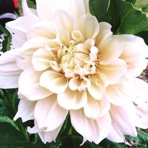 Meet your Posher, Marla