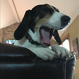 Meet your Posher, Debbie