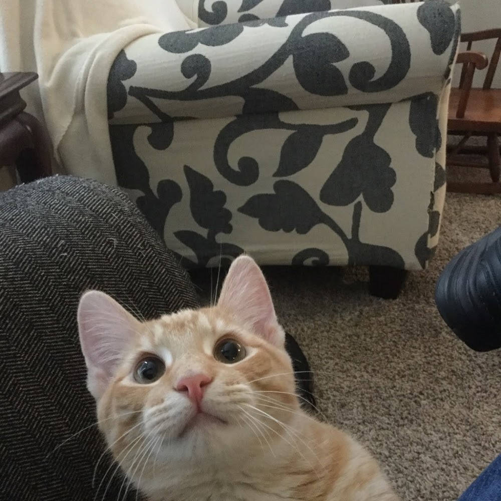 Meet your Posher, Adam