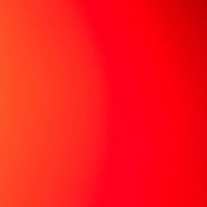 Meet your Posher, Ebony