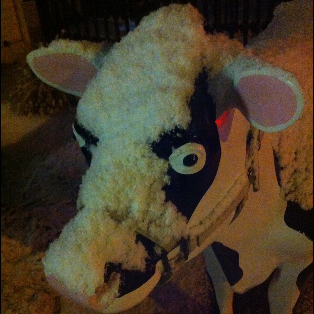 Meet your Posher, Matt