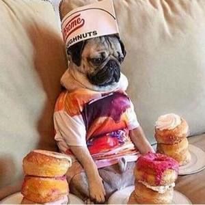 Meet your Posher, Mai