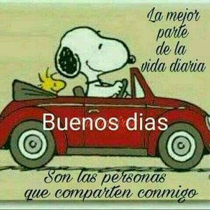 Meet your Posher, Guadalupe