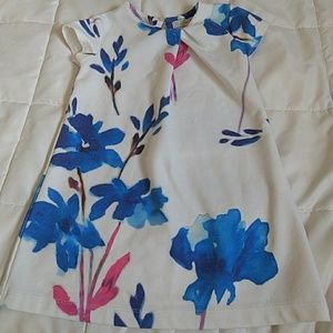Zara Girls Toddler dress