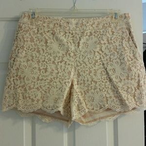 Anthropolgie Scalloped Lace Shorts Size 10
