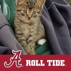 Meet your Posher, Terrie