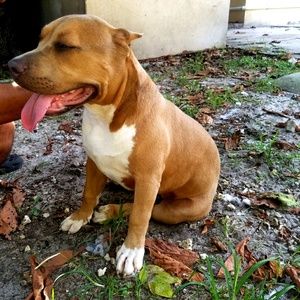 Meet your Posher, Yanet