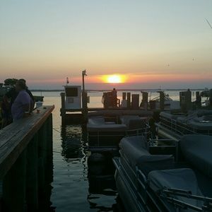 Meet your Posher, Anne