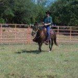 Meet your Posher, Leonard