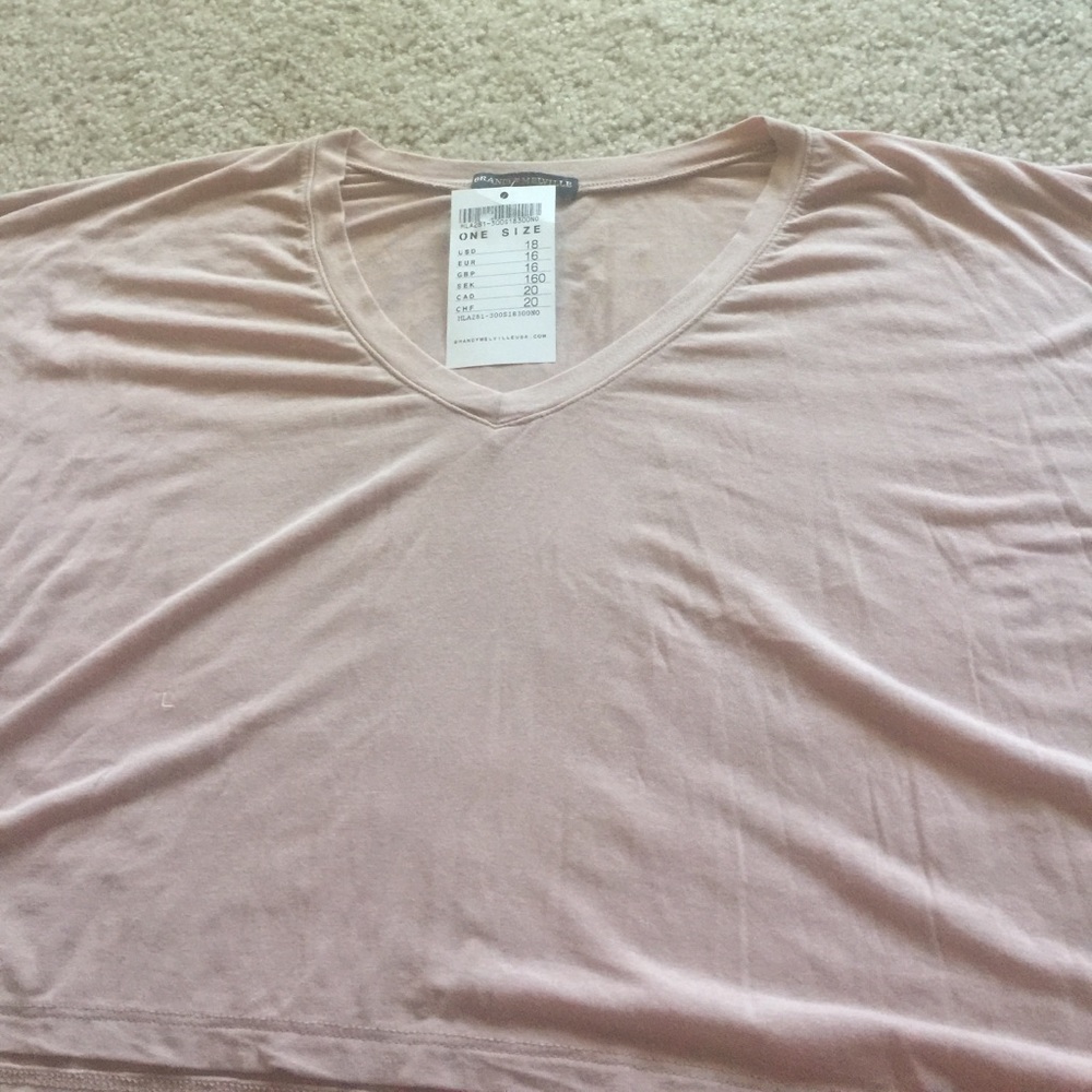 Brandy Melville cropped t shirt