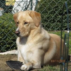 Meet your Posher, Roseann