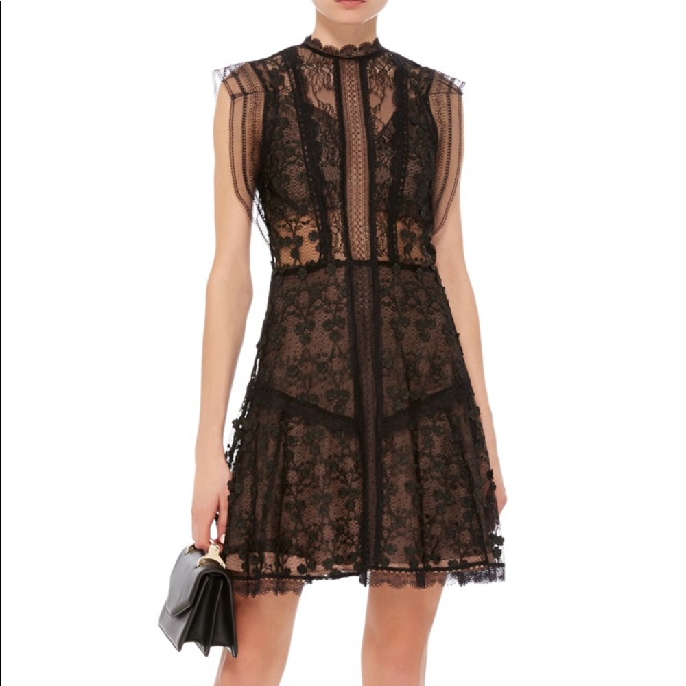 Alexis Mily Short Lace Dress - Picture 3 of 4
