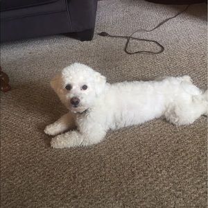 Meet your Posher, Marilyn