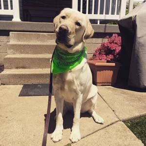 Meet your Posher, Kara