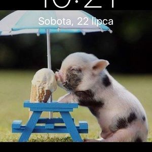 Meet your Posher, Paulina