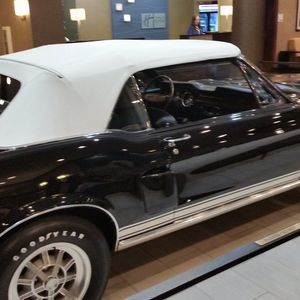 Meet your Posher, Rita