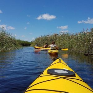 Meet your Posher, Janet