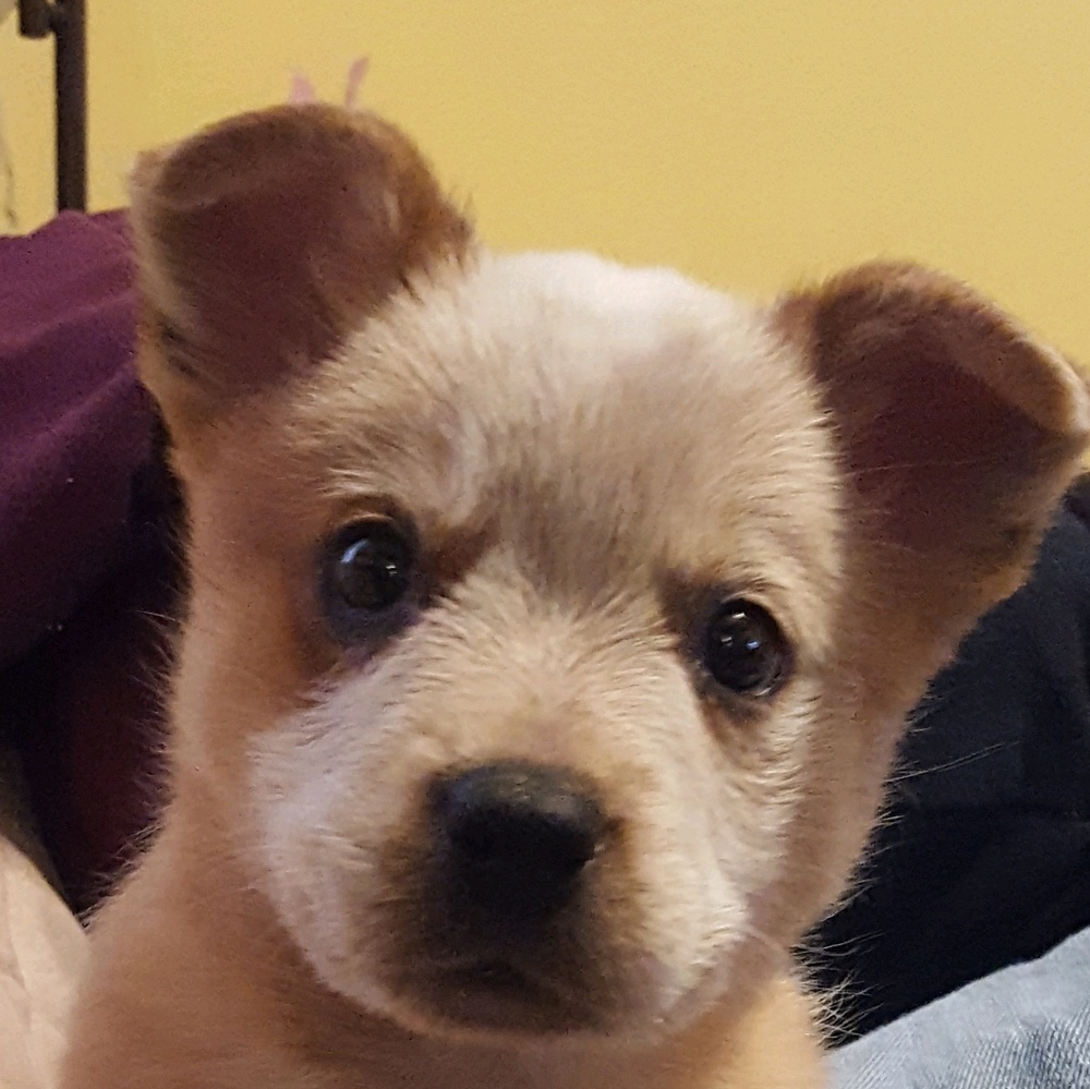 Meet your Posher, Jaimie