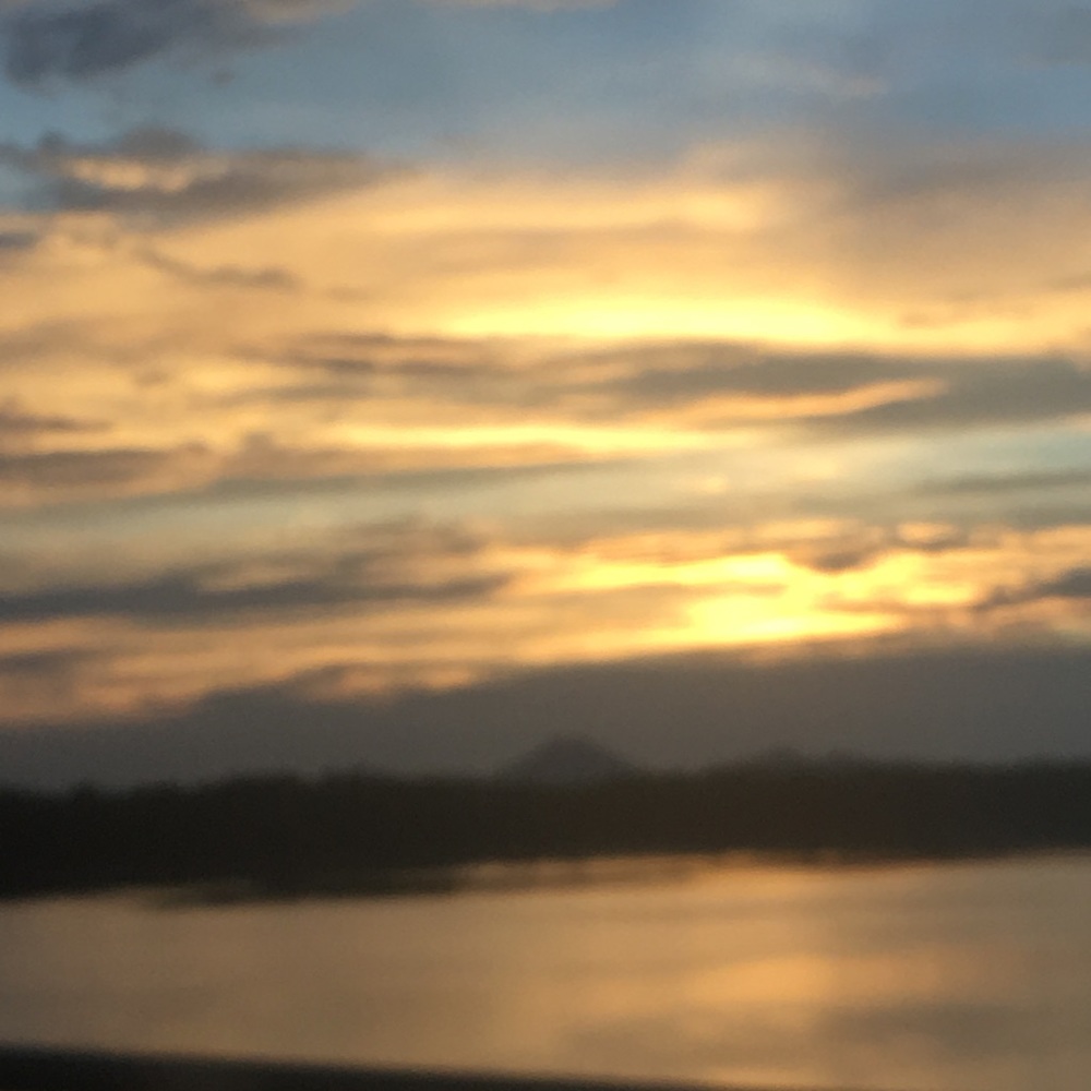 Meet your Posher, Reese