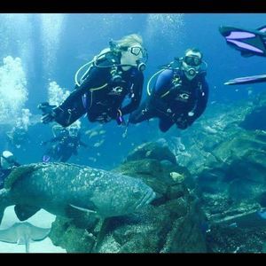 Meet your Posher, Ashlee