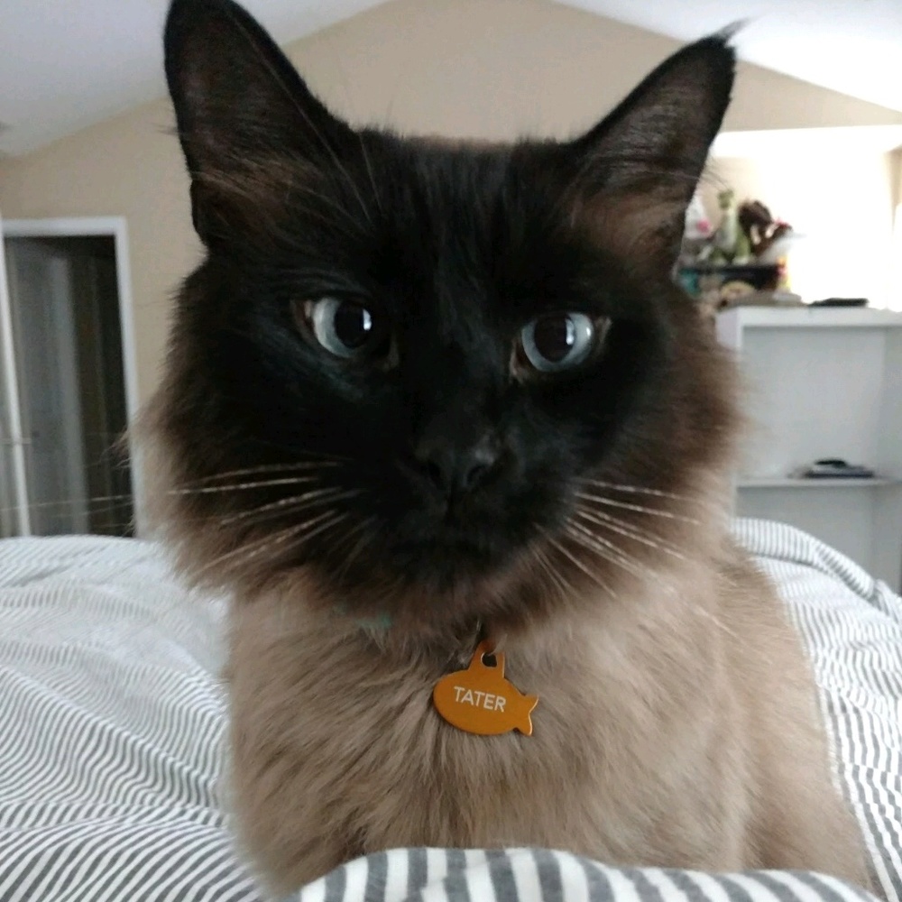 Meet your Posher, Jen