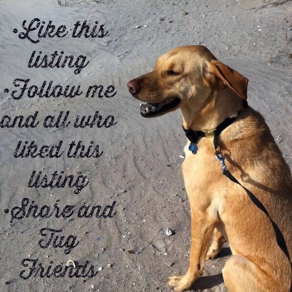 🌴My 2nd Follow Game🌴 - Picture 2 of 3