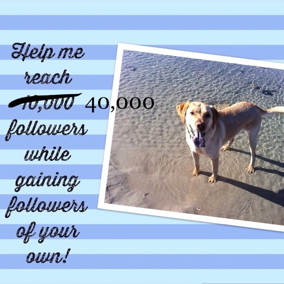 🌴My 2nd Follow Game🌴 - Picture 3 of 3