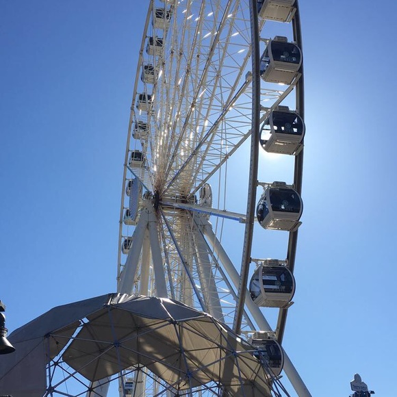 Meet your Posher, Coco - Picture 1 of 1