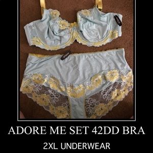 A set of Adore me undergarments.