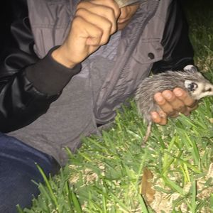 Meet your Posher, Jacob