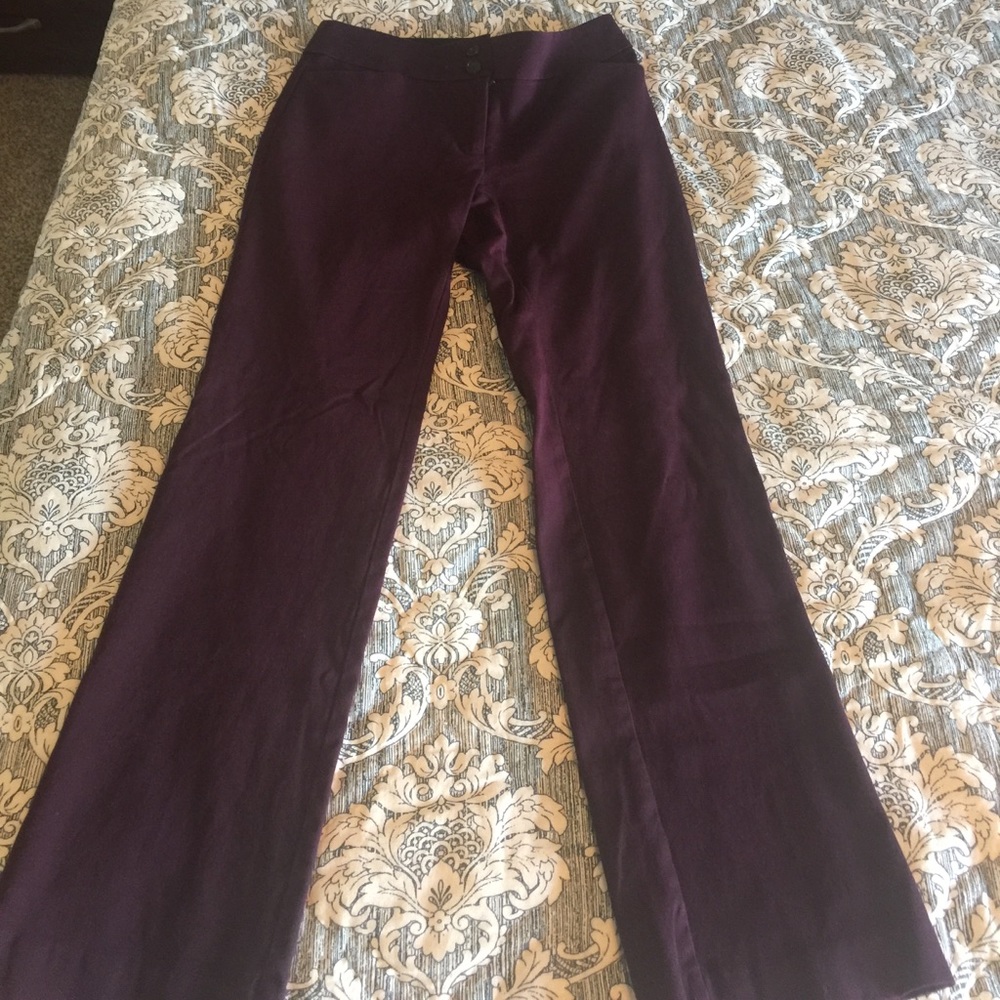 Ann Taylor LOFT dress pants