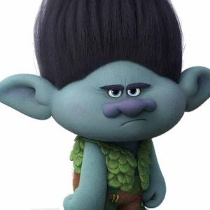 Meet your Posher, Jodi