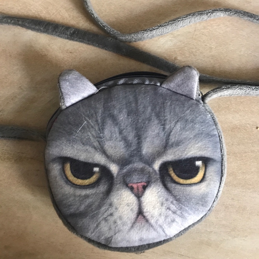 Grumpy cat pouch