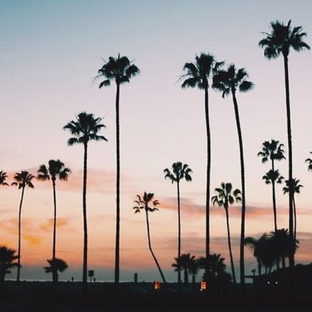 Meet your Posher, Keira