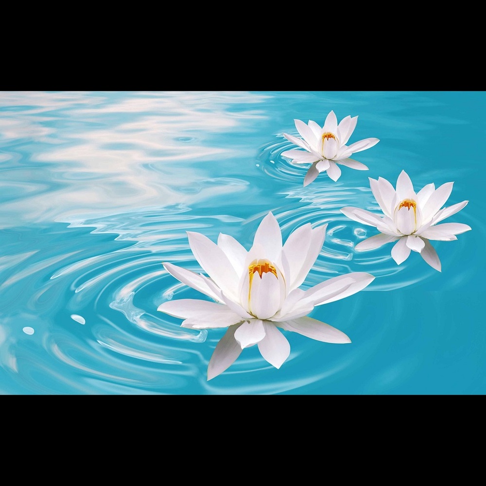 Meet your Posher, Sheryl