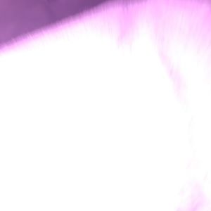 Meet your Posher, Maya