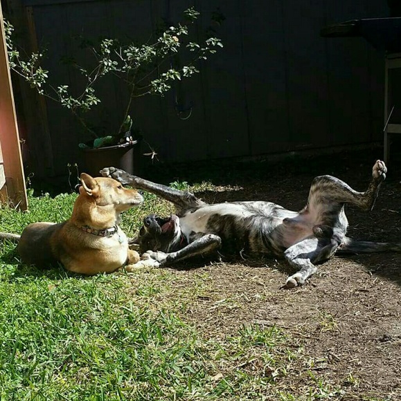 Hi! I'm Vero! - Picture 3 of 7