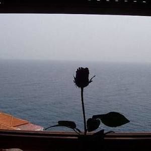 Meet your Posher, Josefina