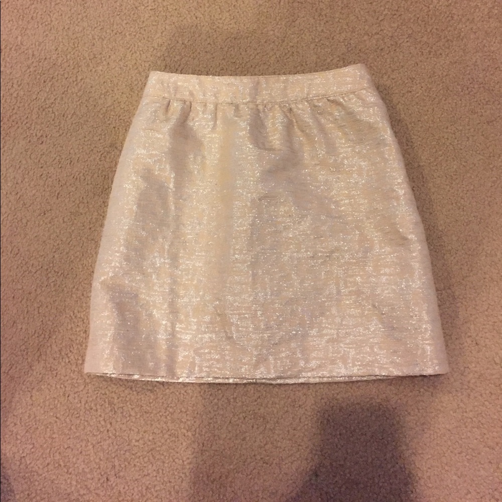 Ann Taylor Loft skirt