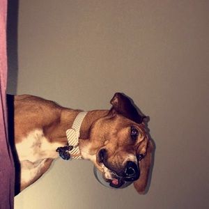 Meet your Posher, Samantha