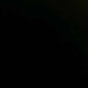 Meet your Posher, Preston