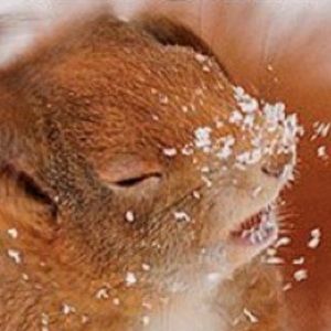 Meet your Posher, Kiki