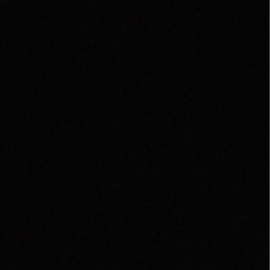 Meet your Posher, Lizzy