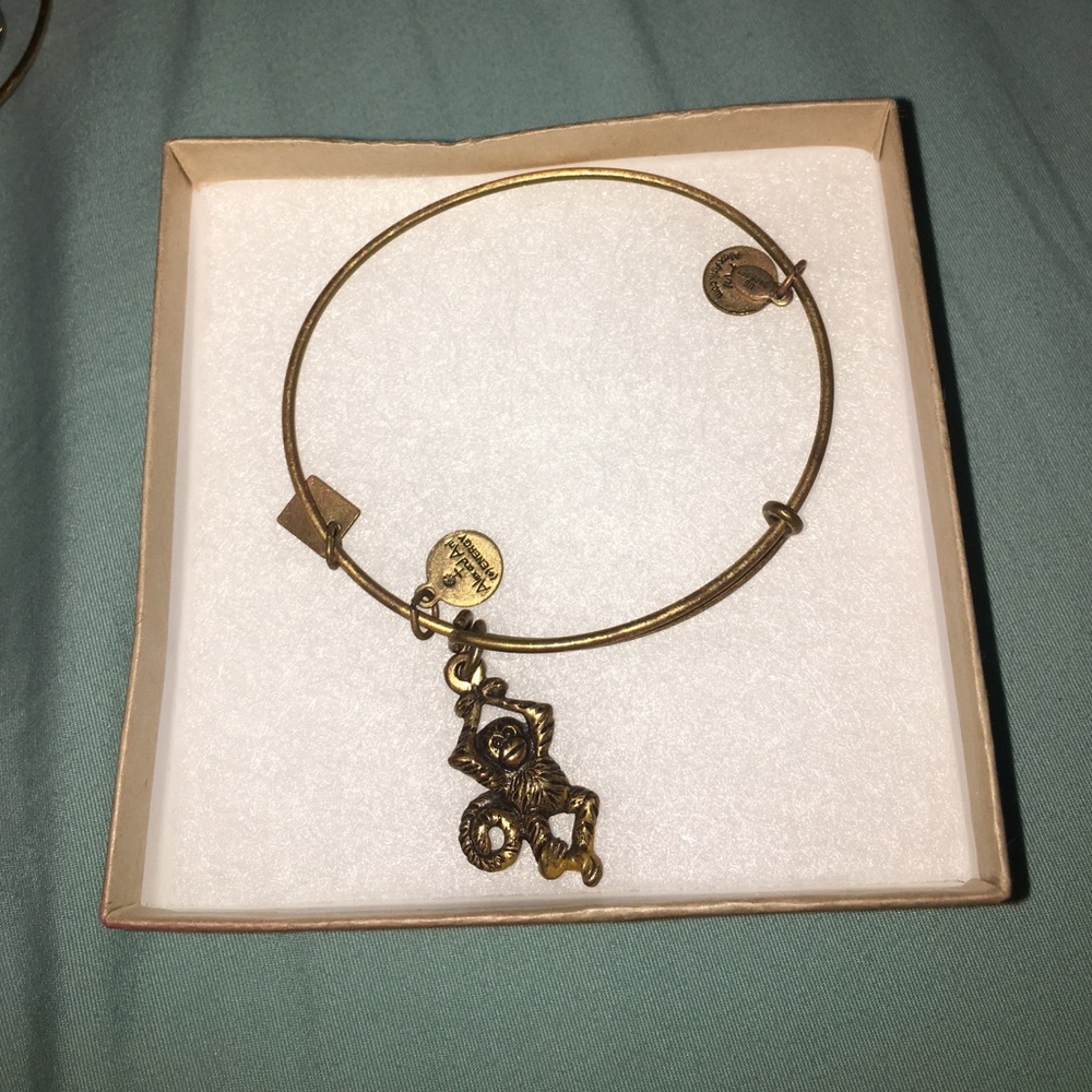Authentic Monkey Alex and Ani