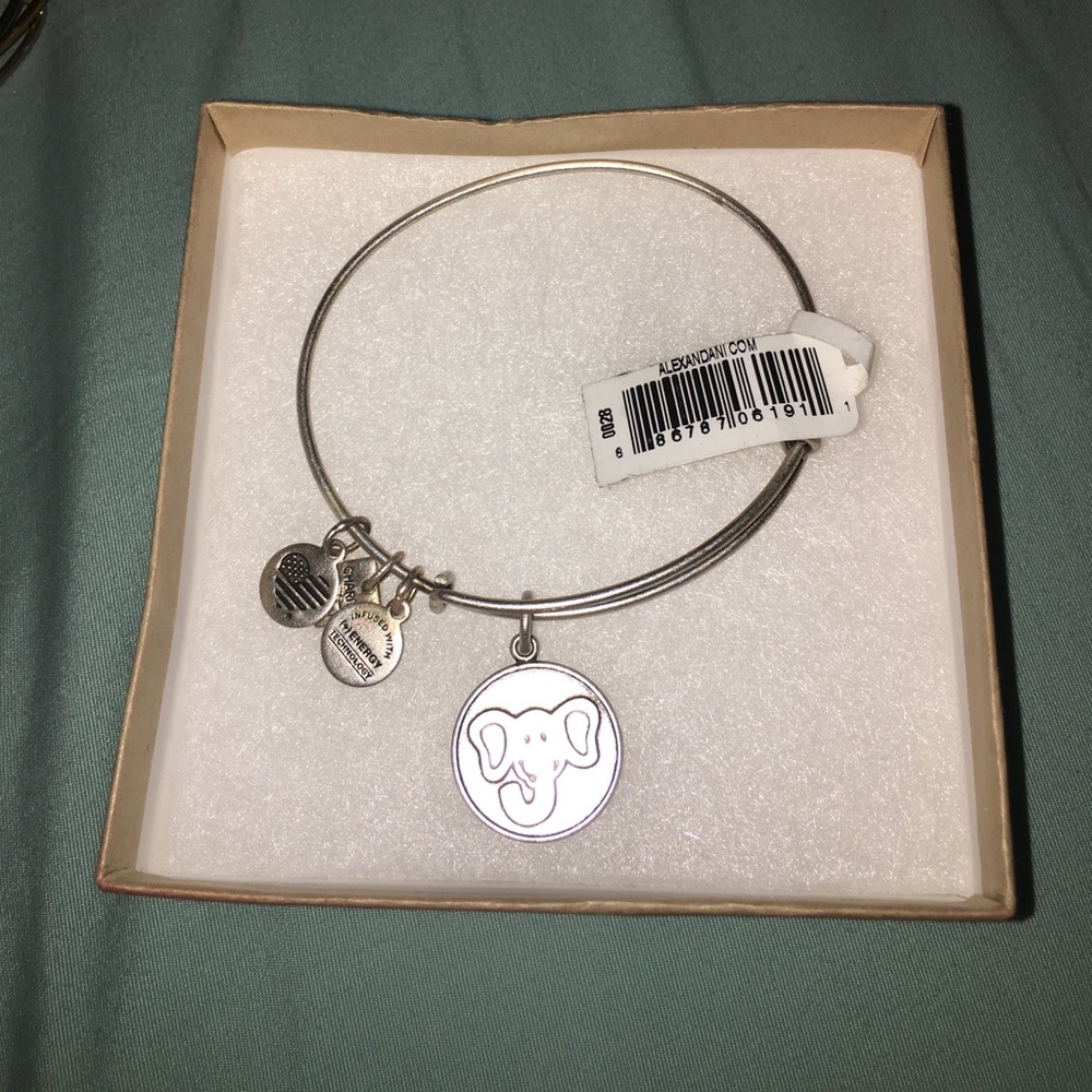 Authentic Charity Elephant Alex and Ani NWT