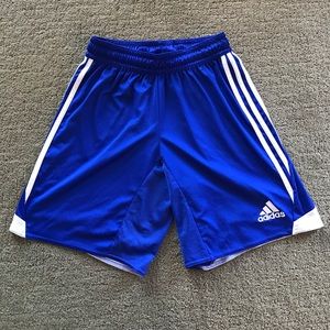 Addidas Climacool Shorts