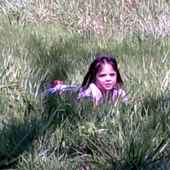 Meet your Posher, Suzanne - Picture 1 of 1