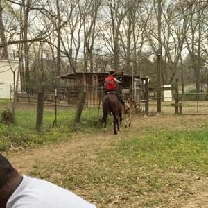 Meet your Posher, Stanley