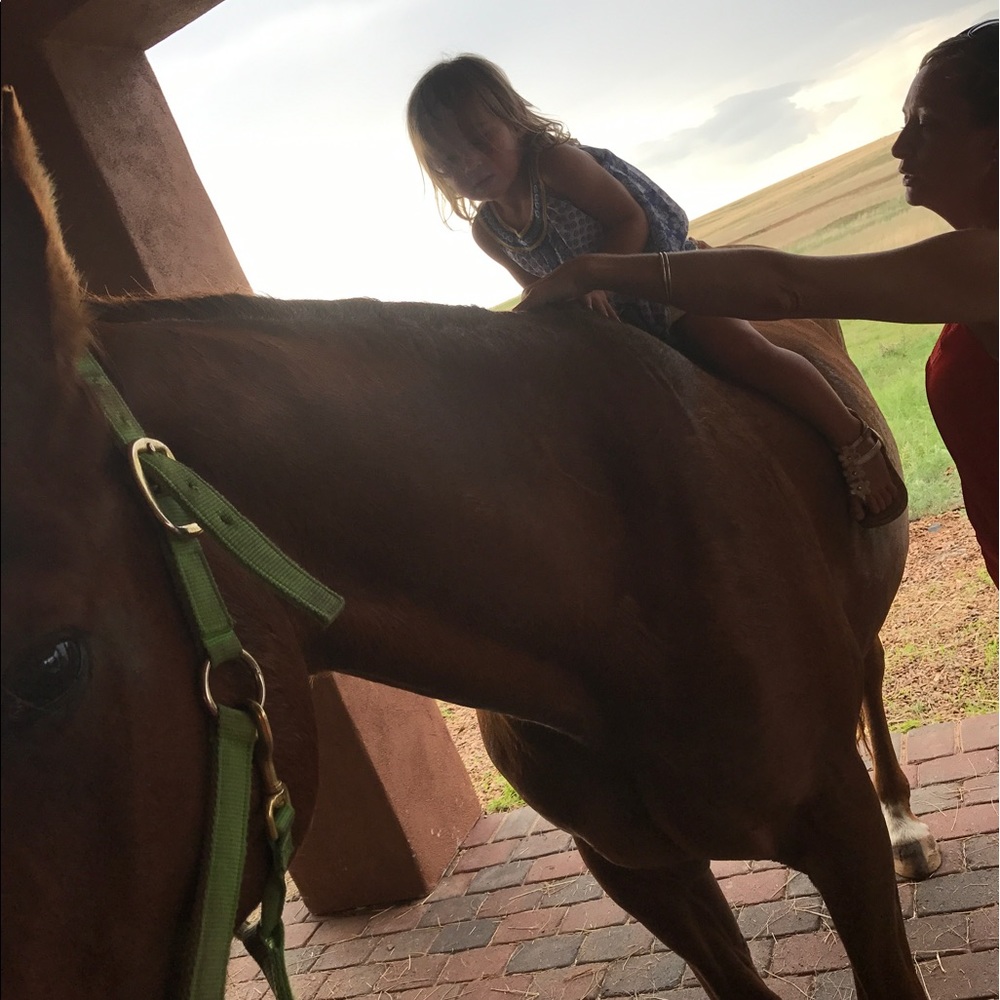 Meet your Posher, Cheyenne